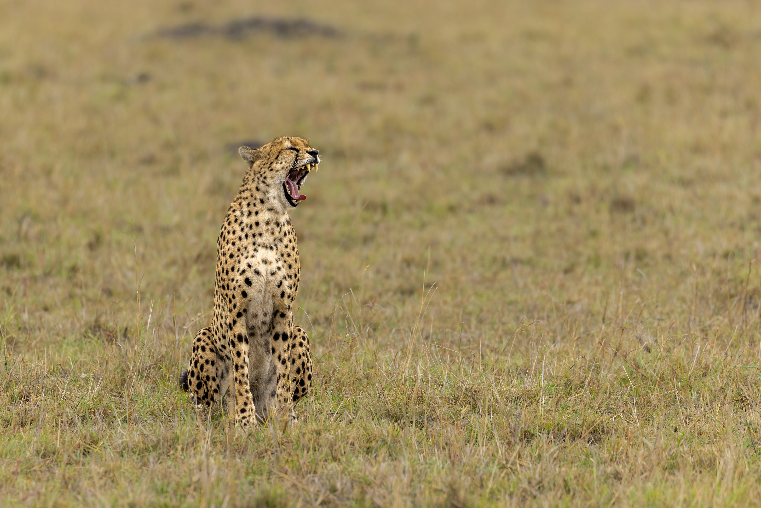 November 12, 2022-071543-3-Edit.jpg